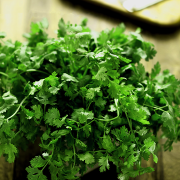 Parsley - My Spice Racks