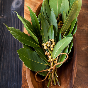 Bay Leaves - My Spice Racks